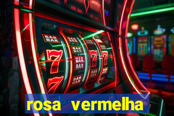 rosa vermelha (letra e cifra)